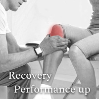 Recovery Performance up